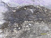 S7300588